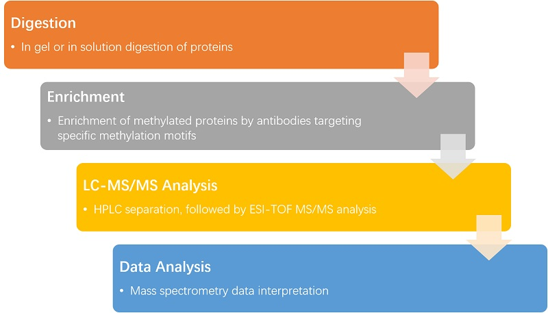 甲基化定量蛋白组学研究